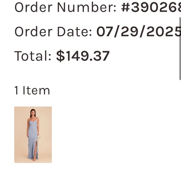 BIRDY GREY Chiffon Valentina Dress - Picture 2 of 8